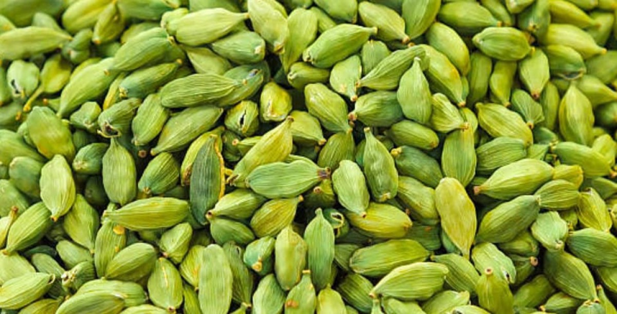 Cardamome verte from Guatemala